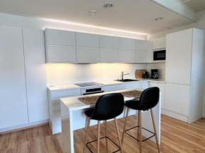 Spacious and Stylish Penthouse in Downtown Rovaniemi